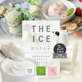 【ふるさと納税】【毎月定期便】【THE ICE】3種詰合せ6個セット×2ヵ月定期便 （ちえのわ事業協同組合）