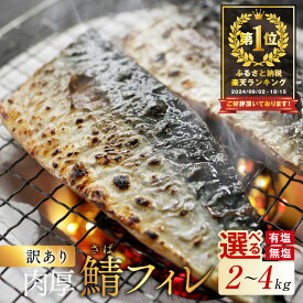 【ふるさと納税】8月12日〜寄付額改定 総合1位獲得 訳あり 塩／無塩 サバ フィレ 2～4kg 【種類・内容量が選べる】（ふるさと納税 国産 鯖 ふるさと納税 サバ 塩サバ 無塩サバ 無塩鯖 魚 切り身 訳あり 魚 ふるさと おかず 惣菜 大容量 魚介 ヒレ フィレ ） 北海道 別海町