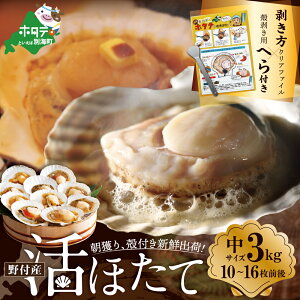 yӂ邳Ɣ[Łzyً}xizǂ VNo kt z^e TCY 3kgO(10~16O) kC tY H׉Qi ӂ邳Ɣ[ ق z^e  L t { j