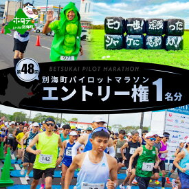 【ふるさと納税】第48回別海町パイロットマラソン マラソン（42.195km）の部エントリー権【PM0000001】（ ふるさと納税 パイロットマラソン ふるさと マラソン 北海道 別海町 ）