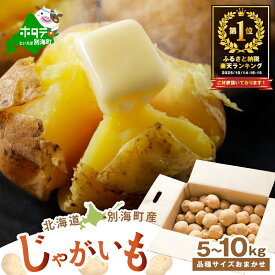 【ふるさと納税】 【先行予約】じゃがいも 5kg ～ 10kg 【選べる内容量】 北海道 別海町産 品種おまかせ サイズ 不揃い （ きたあかり 男爵 メークイーン レッドムーン ）（ ふるさと納税 ジャガイモ 訳あり 不揃い 規格外 ふるさと 芋 いも 人気 ランキング 別海町 ）