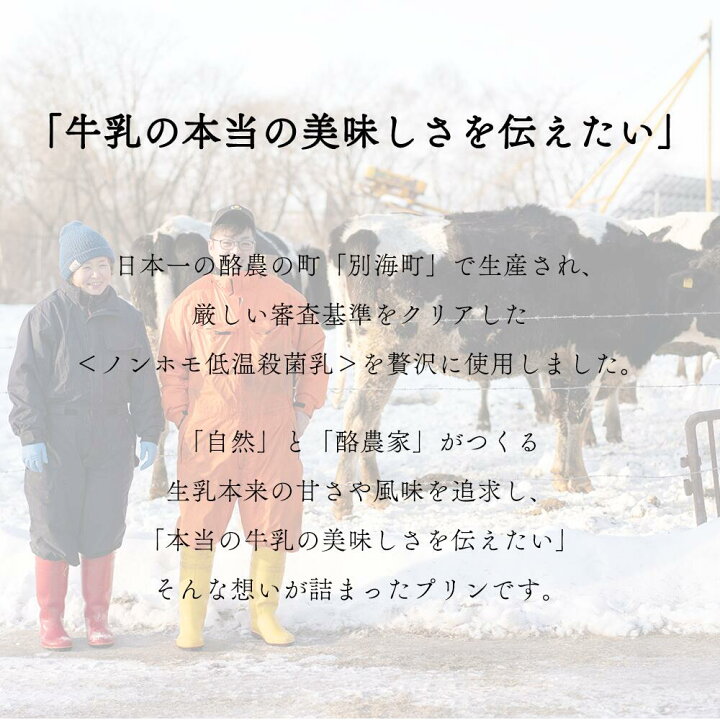 楽天市場】【ふるさと納税】【定期便】濃厚プリン New Pudding（ニュー 