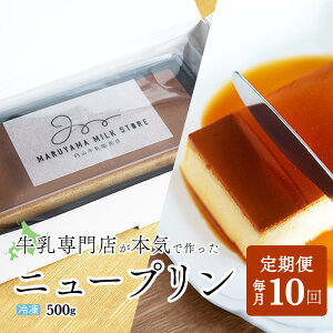 yӂ邳Ɣ[ŁzyցzZv@New Puddingij[vfBOji500g×1{j×10ybe152-0931-100-10z(v i XC[c kC ʊC 10 10 10 10)