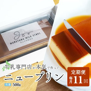 yӂ邳Ɣ[ŁzyցzZv@New Puddingij[vfBOji500g×1{j×11ybe152-0931-100-11z(v i XC[c kC ʊC 11 11 11 11)