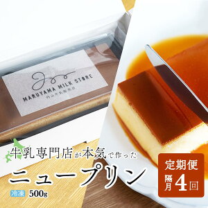 yӂ邳Ɣ[ŁzyuցzZv@New Puddingij[vfBOji500g×1{j×4ybe152-0931-200-4z(v i XC[c kC ʊC  4 4 4 4j