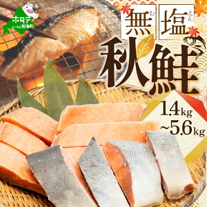 yӂ邳Ɣ[Łz ]4.56 H ؂g (  )y eʂIׂ1.4kg ` 5.6kgzi ӂ邳Ɣ[  ӂ邳Ɣ[ H TP ӂ邳Ɣ[ VP ӂ邳Ɣ[  ؂g kC ʊC 
