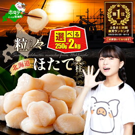 【ふるさと納税】高評価★4.8 ホタテ貝柱 250g～2kg 【内容量が選べる】【 発送時期が選べる 】（ ふるさと納税 ホタテ 訳あり 帆立 ホタテ貝柱 ふるさと納税 訳あり ふるさと 刺身 冷凍 ほたて ホタテ 帆立 人気 ランキング 貝柱 貝 魚介 北海道 別海町 お中元 ）
