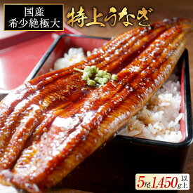【ふるさと納税】国産 希少 極大 特上うなぎ 290g×5尾【発送時期が選べる】（ ふるさと納税 うなぎ 美味しい 国産 うなぎ 鰻 ウナギ 蒲焼き 蒲焼 かばやき 魚 魚介 魚貝 海鮮 うな重 ひつまぶし 蒲焼 訳あり ギフト 人気 おすすめ 北海道 別海町 ふるさと納税 ）