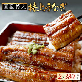 【ふるさと納税】 国産 特大 特上 うなぎ 2尾 【発送時期が選べる】 合計 380g 以上（ 190g × 2尾 ）（ ふるさと納税 うなぎ 国産 ふるさと納税 鰻 美味しい ふるさと 訳あり うなぎ蒲焼 うなぎの蒲焼き 惣菜 湯せん レンジ 簡単調理 小分け 北海道 お中元 ）