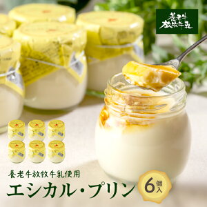 【ふるさと納税】養老牛放牧牛乳使用エシカル・プリン×6個 | プリン 無添加プリン 北海道産プリン グラスフェッド牛乳 有機牛乳 放牧牛乳 低温殺菌 ノンホモ ナチュラルスイーツ てんさい