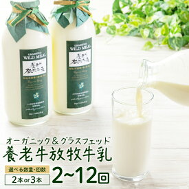 【ふるさと納税】【内容量&お届け回数が選べる！】定期便 オーガニック＆グラスフェッド養老牛放牧牛乳900ml×2～3本 | グラスフェッド 牛乳瓶 有機JAS認証 低温殺菌 乳製品 健康志向 安心 安全 栄養豊富 化学肥料不使用 輸入穀物不使用 お取り寄せ 北海道 中標津町 中標津