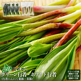 【ふるさと納税】行者にんにく グリーン行者 葉部 3袋 ホワイト行者 茎部 2袋 計5袋 オンライン 申請 ふるさと納税 北海道 中標津 行者ニンニク 幻の山菜 山菜 山の幸 野菜 疲労回復 健康効果 長寿 体力増強 ダイエット 焼肉【2001001】