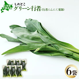 【ふるさと納税】行者にんにく グリーン行者 葉部 6袋 オンライン 申請 ふるさと納税 北海道 中標津 行者ニンニク 幻の山菜 山菜 山の幸 野菜 疲労回復 健康効果 長寿 体力増強 ダイエット効果 焼肉 卵とじ トッピング おひたし【2001101】
