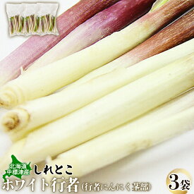 【ふるさと納税】行者にんにく ホワイト行者 茎部 3袋 オンライン 申請 ふるさと納税 北海道 中標津 行者ニンニク 幻の山菜 山菜 山の幸 野菜 疲労回復 健康効果 長寿 体力増強 ダイエット効果 揚げ物 炒め物 醤油漬け おかず 冷凍【2001201】