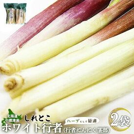 【ふるさと納税】【ハーブとして最適】行者にんにくホワイト行者×2袋（茎部） | オンライン 申請 ふるさと納税 北海道 中標津 ハーブ 香草 行者ニンニク にんにくの芽 山菜 焼肉 しょうゆ漬け おかず 冷凍 お取り寄せ 北海道 中標津町 中標津【2002101】