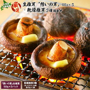 yӂ邳Ɣ[Łzuz̑vőƊőlߍ킹 ő500g×3P ő50g×1×3  VC^P ő  VC^P  VC^P ̂ LmR 