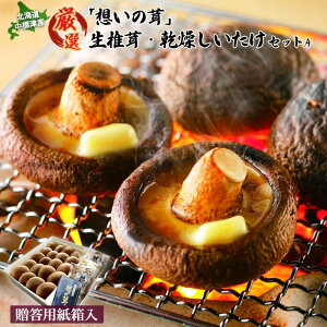 yӂ邳Ɣ[Łzuz̑vőƊőZbg ő8cmO×20 ő20g+XCX20g  VC^P ő  VC^P  VC^P p ӂ