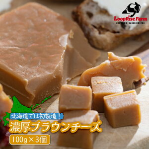 yӂ邳Ɣ[ŁzZuE`[Y 100g 3 i `[Y uE`[Y yHi zGC `[Y [ Z SDGs kC p C  ܂ ӂ邳Ɣ[ kC W
