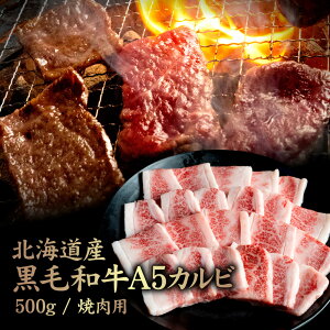 yӂ邳Ɣ[ŁzkCY јaA5Jr500g ēp | јa A5 Jr V[gv[g CTChXJ[g   Z  Ԑg ē BBQ    kC WÒ W