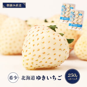 yӂ邳Ɣ[Łzy12ȍ~AIzykCYz䂫ij 2PZbg 250g×2 v500g  C`S  GC`S   Mtg  ӂ邳Ɣ[ kC