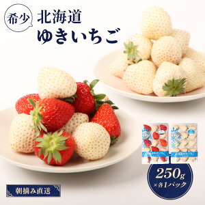 yӂ邳Ɣ[Łzy12ȍ~AIzykCYz䂫i䂫ڂ/j×MIX 2PZbg e250g×2 v500g   GC`S  Mtg  ӂ邳Ɣ[ k