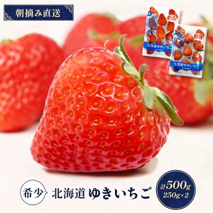 yӂ邳Ɣ[Łzy󒍌AIzykCYz䂫igقor݂̂j 2PZbg e250g×2 v500gy59005z