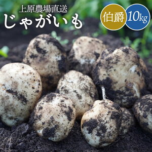 yӂ邳Ɣ[ŁzႪ  10kg    C WKC |eg ͂Ⴍ \ IC \ ӂ邳Ɣ[ kC W   Yn VN ̂ꂽ ӂ 