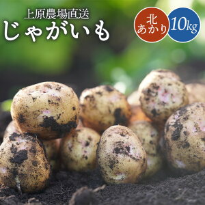yӂ邳Ɣ[ŁzႪ k 10kg    C WKC |eg L^AJ \ IC \ ӂ邳Ɣ[ kC W   Yn VN ̂ꂽ |egT