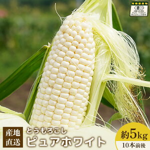 yӂ邳Ɣ[Łzy2026Nxz㌴_꒼@L@͔|Ƃ낱 (sAzCg) 5kg 10{O | ӂ邳Ɣ[ kC W Ȃׂ Ƃ낱 sAzCg Ƃ