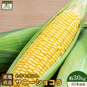 yӂ邳Ɣ[Łzys\z㌴_꒼ L@͔|Ƃ낱 (Tj[VR) 30kg 65{O | kC W Ƃ낱 Ƃ  Ė  Yn VN ̂ꂽ ̂