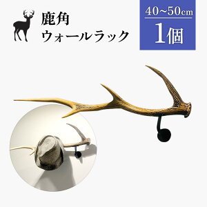 yӂ邳Ɣ[Łzp̃EH[bN 1 40cm`50cm | VR ڈ  p EH[bN G]VJ Ǌ| tbN nK[ IuWF G Vv nhCh _ 蕨 Mtg 