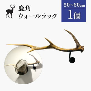 yӂ邳Ɣ[Łzp̃EH[bN 1 50cm`60cm | VR ڈ  p EH[bN G]VJ Ǌ| tbN nK[ IuWF G CeA Vv nhCh 蕨 Mtg 