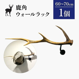 yӂ邳Ɣ[Łzp̃EH[bN 1 60cm`70cm | VR ڈ  p EH[bN G]VJ Ǌ| tbN nK[ IuWF G CeA Vv nhCh 蕨 Mtg 