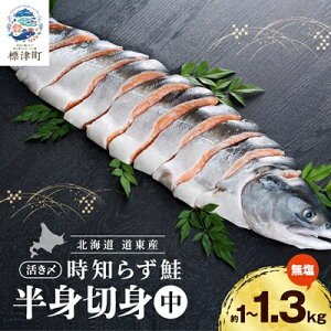 yӂ邳Ɣ[ŁzkCY@Ym炸gؐg@kC lC gLVY  VR@700g`1.4kg_ TP Ⴏ Ƃ炸 gLVY Ⓚ ^pbN   ؐg 