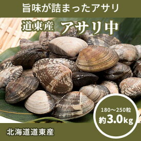 【ふるさと納税】北海道道東産アサリ中(冷凍)　約3kg(180～250粒)【配送不可地域：離島】【1233944】