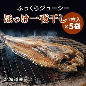 【ふるさと納税】北海道産 天然ほっけ一夜干しセット 2枚入×5袋【配送不可地域：離島】【1133087】