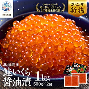 yӂ邳Ɣ[ŁzkCY@ݖ(250g/250g×2/500g/500g×2)_  CN  ݖЂ lC    Mtg kC WÒ  Ⓚ hZNV   VR 