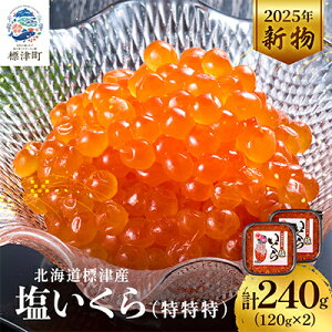 yӂ邳Ɣ[Łz@Ђ kC lC   VR@120g×2/500g(250g×2)_  Ђ Ⓚ    Y { kCYyzsnFzyG1565548z