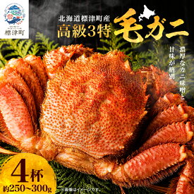 【ふるさと納税】 高級特特特(3とく)の毛ガニ約250g~300g×4杯 毛ガニ ボイル済み ボイル毛ガニ 北海道 カニ 蟹味噌 かに味噌 蟹 高級 人気 贅沢 蟹鍋 蟹ご飯 カニ鍋 カニご飯 けがに 標津町