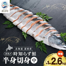 【ふるさと納税】 北海道産 鮭 切身 選べる 約1.0kg~2.6kg 時知らず 国産 半身 活き〆 人気 おすすめ 無塩 味付けなし さけ サケ しゃけ ときしらず トキシラズ 時知らず鮭 冷凍 真空パック パック 小分け 使いやすい 1kg【配送不可地域：離島】