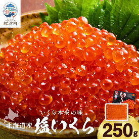 【ふるさと納税】 北海道産 塩いくら ( 250g ) しおいくら いくら イクラ ikura 鮭卵 国産 天然 小分け 人気 厳選 おすすめ さけ サケ 鮭 魚卵 たまご 冷凍 冷凍イクラ 冷凍いくら 冷凍のイクラ【配送不可地域：離島】