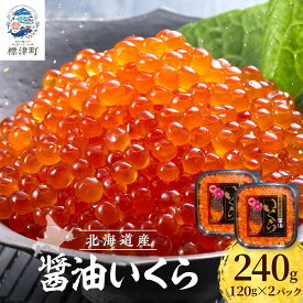 【ふるさと納税】 北海道産 いくら 醤油漬 ( 120g ×2 ) 国産 天然 人気 おすすめ さけ サケ 鮭 鮭いくら 鮭イクラ いくら醤油漬 醤油漬け しょうゆづけ 醤油いくら 醤油イクラ しょうゆいくら【配送不可地域：離島】