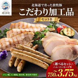 【ふるさと納税】 【無添加・無着色】 北海道産 ハム ・ ソーセージ 等 詰め合わせ 5種×各1/5種×各2/5種×各5 国産 人気 おすすめ ギフト セット ハム ベーコン ブロック ウインナー あらびきウインナー 肉加工品 【配送不可地域：離島】