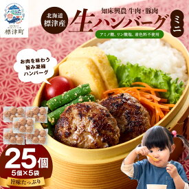 【ふるさと納税】 北海道産 生ハンバーグ ミニ 25個 セット ( 5個 × 5パック ) 冷凍 手作り ハンバーグ 国産 保存料不使用 牛肉 豚肉 ギフト お弁当 子供 子ども こども 安全 アミノ酸不使用【配送不可地域：離島】