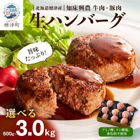 【ふるさと納税】 北海道産 生 ハンバーグ 選べる6~30個(3～15パック) (1パック 100g ×2 ) 国産 無添加 手作り 安心 おすすめ 保存料不使用 牛肉 豚肉 国産ハンバーグ 冷凍ハンバーグ 合いびき 合い挽き 北海道 標津町 興農ファーム【配送不可地域：離島】