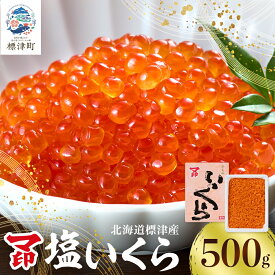 【ふるさと納税】 マ印 塩いくら 500g いくら 北海道産 塩漬け 塩漬 塩イクラ 塩 国産 天然 人気 おすすめ いくら人気 さけ サケ 鮭 鮭いくら 鮭イクラ いくら北海道 魚卵 ikura 冷凍 冷凍いくら【配送不可地域：離島】