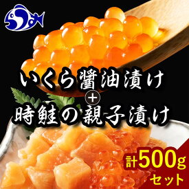 【ふるさと納税】【選べる配送月】知床羅臼産 時鮭（ときしらず）の親子漬け・醤油いくらセット（計500g）イクラ しょうゆ漬け 秋サケ さけ 海鮮 魚介 海鮮丼 手巻き寿司 ご飯のお供 北海道 詰め合わせ F21M-964