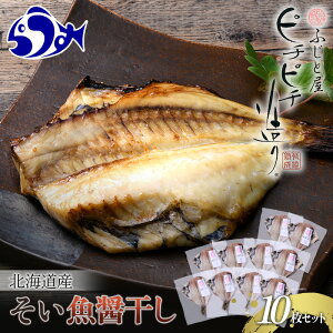 yӂ邳Ɣ[ŁzkCY ݊ 10Zbg kC m P Y x 