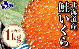 【ふるさと納税】国産 いくら 1kg 鮭卵 醤油漬け 北海道産 （250g×4パック） 小分けパック イクラ 海鮮丼 ギフト 贈り物 魚介類 魚介 北海道 海産物 鮭 シャケ しゃけ 数量限定 生産者 支援 応援