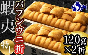 yӂ邳Ɣ[Łzys\/2026N1蔭ze × Iׂ s\ ܂ 120g ` 240g kCmPY VR G]otɁij G]otEj Ej _O hg CN 
